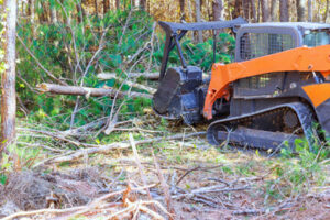 Forestry Mulching